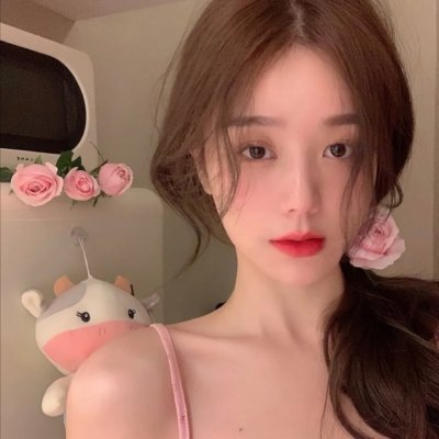 鸭乃桥论的禁忌推理